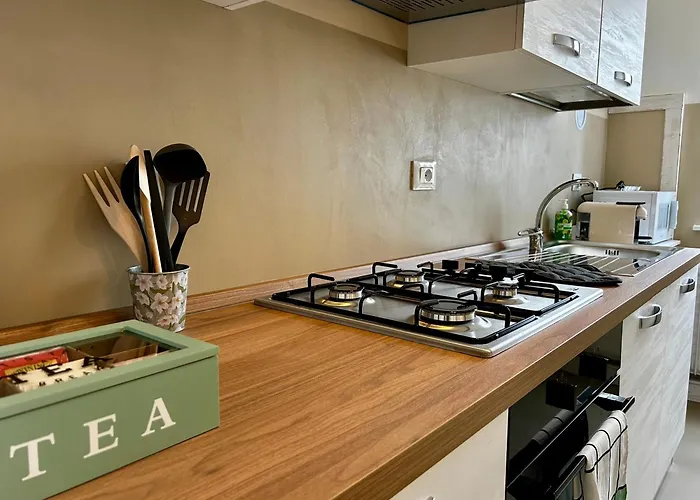 Luxury Allo Fusion In The Center Of